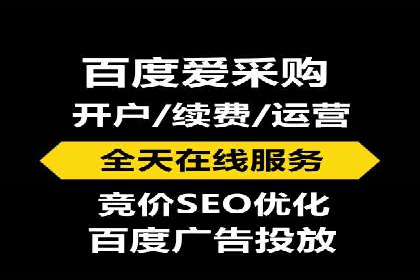 百度竞价SEM成功案例：揭秘广告投放秘诀